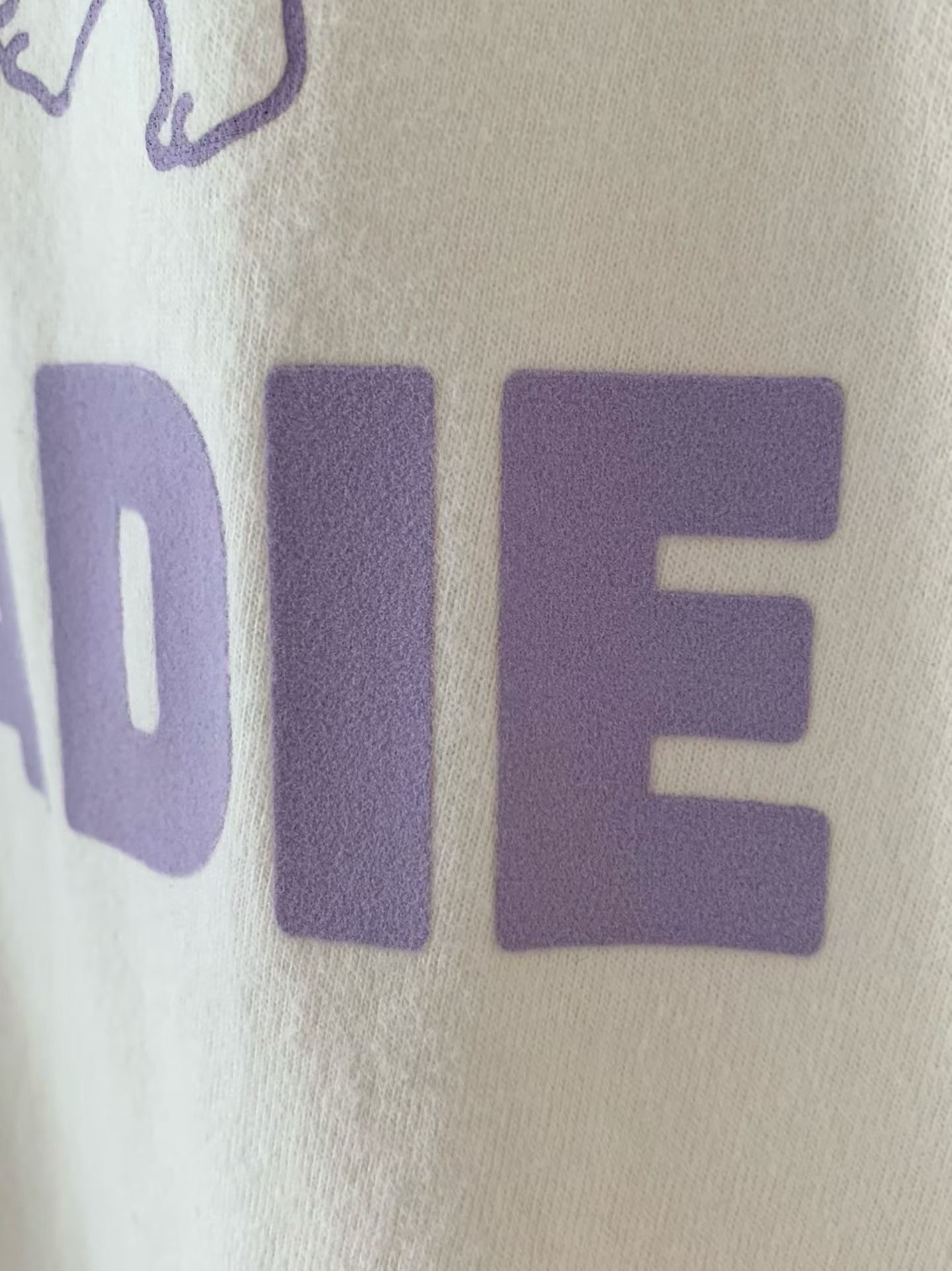 image_CF06585A-1D5C-4434-A4DD-63B702FC363D_1759218692