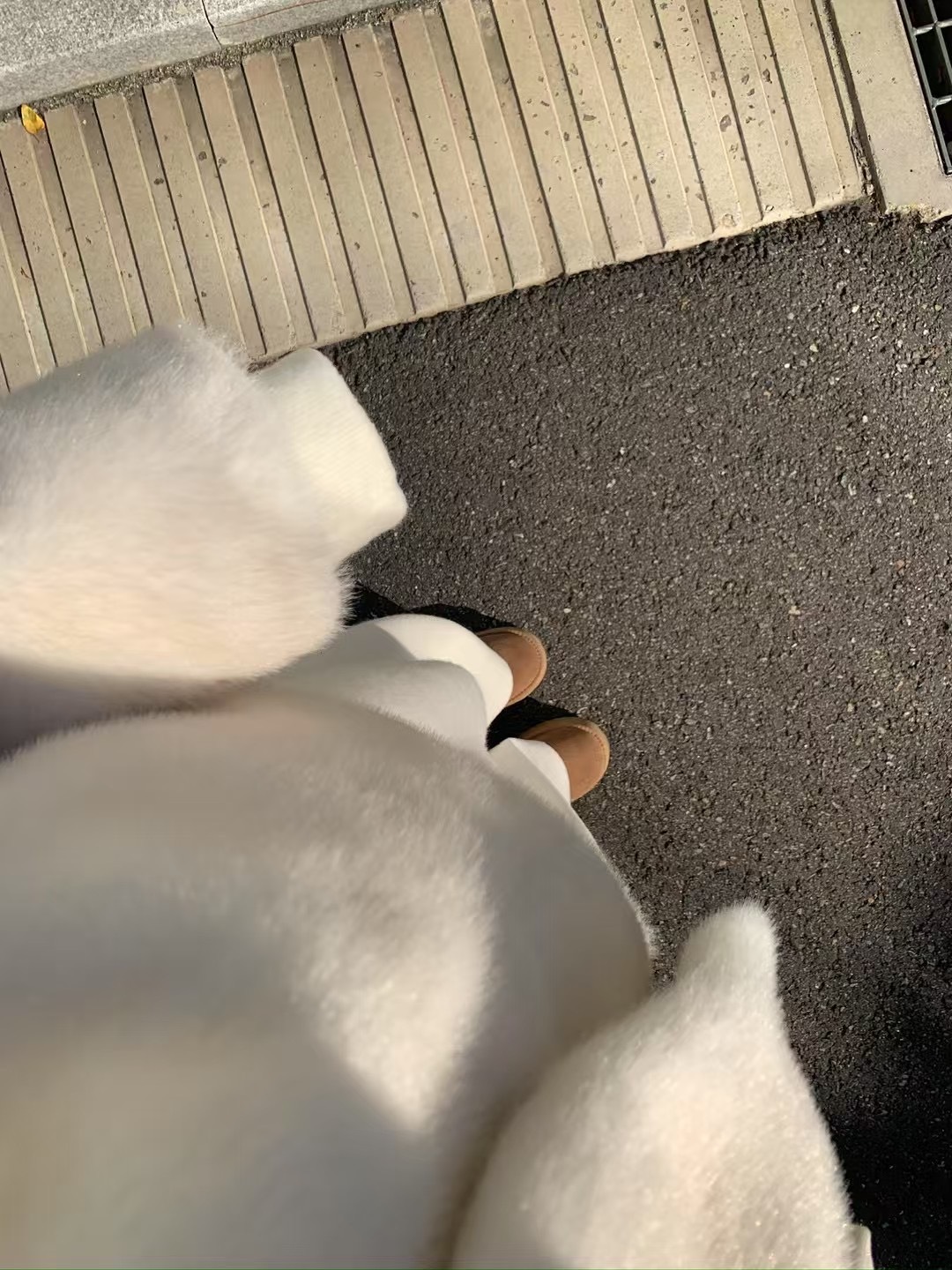 image_CCE2F213-B0B0-4160-9C3E-F9462DE06ABA_1765297773