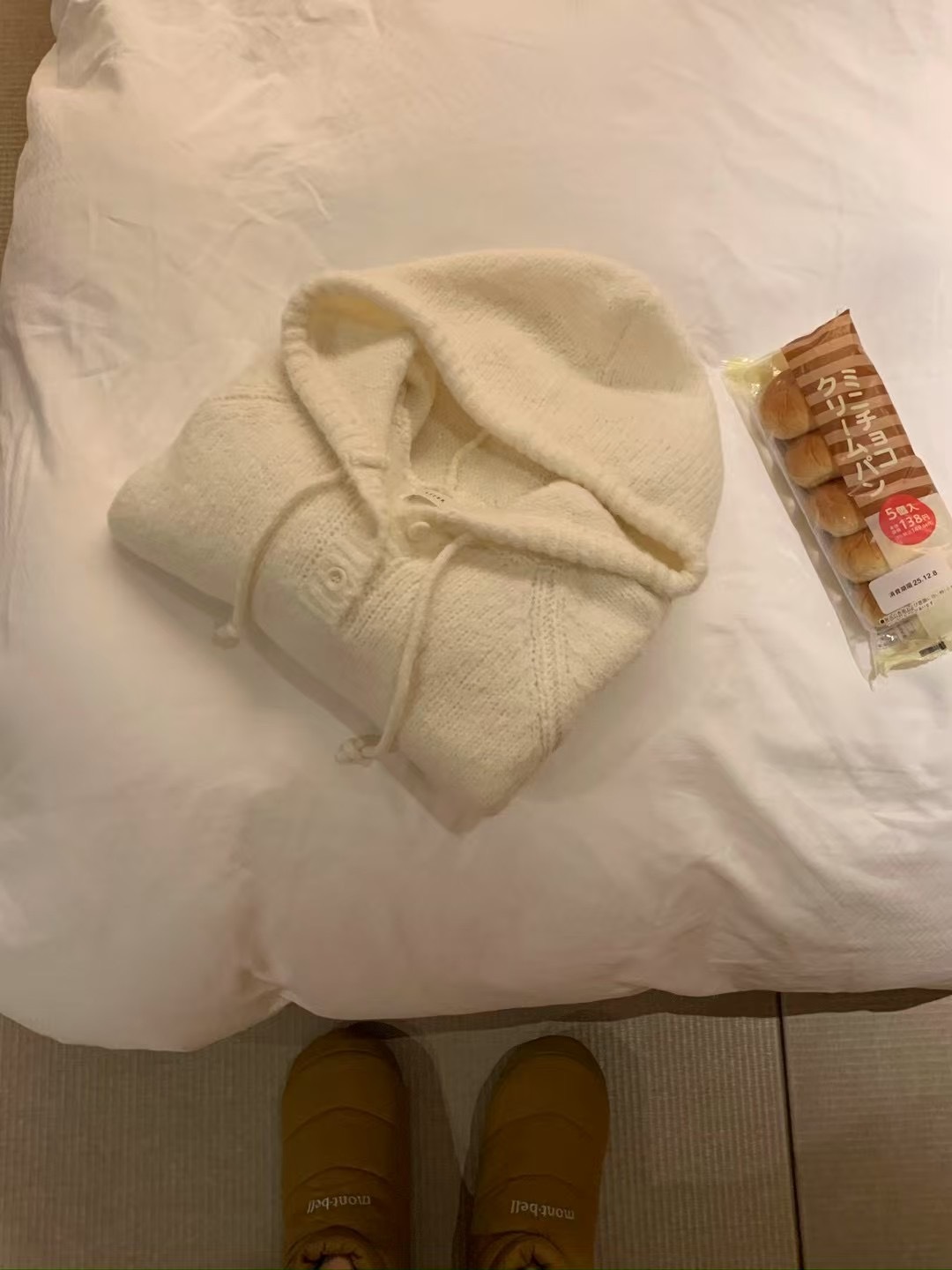 image_14EDE902-9CF6-44FB-A0B1-57193A270300_1766156630