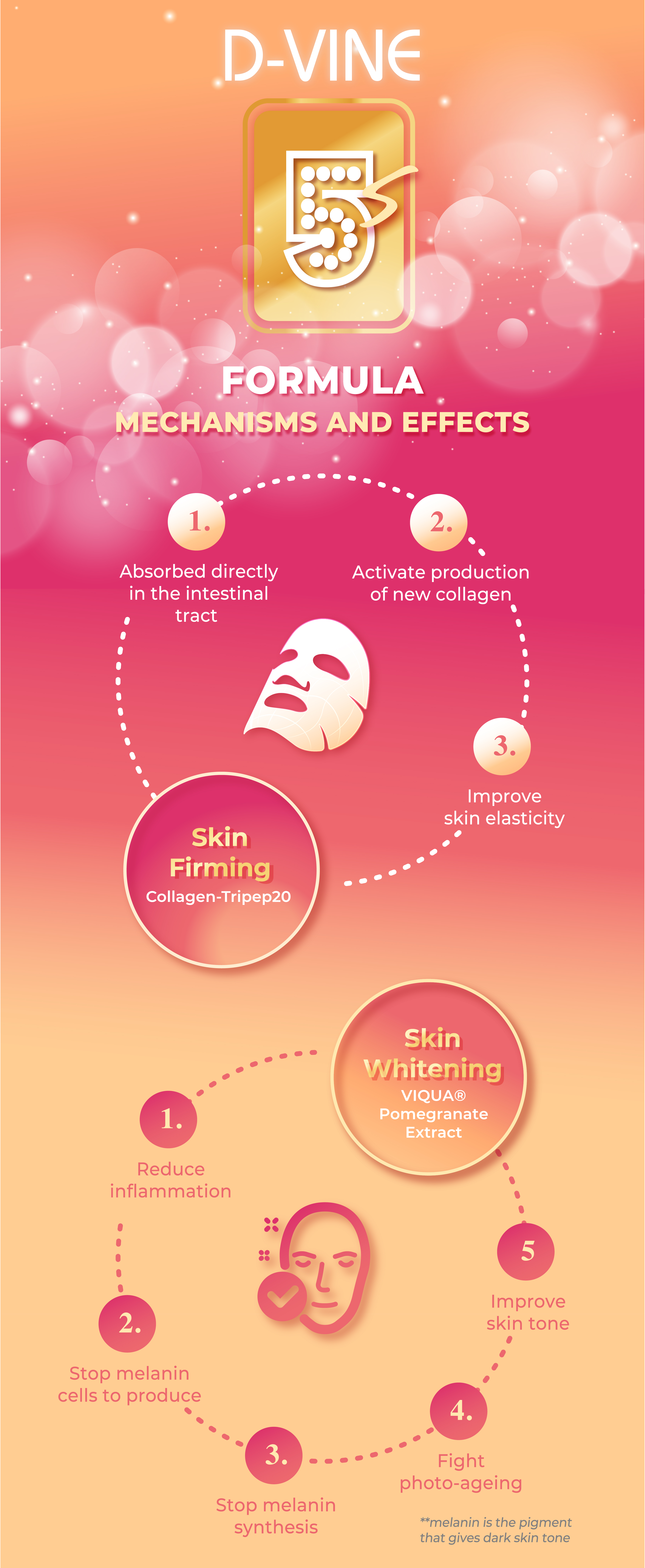 D-VINE E-flyers Eng- updated-09.jpg