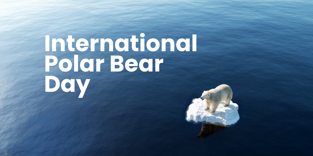 2月27日｜國際北極熊日  February 27 International Polar Bear Day