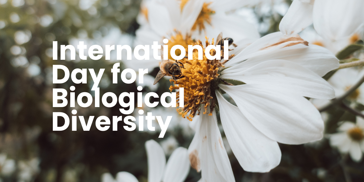 5月22日｜國際生物多樣性日 May 22 International Day for Biological Diversity