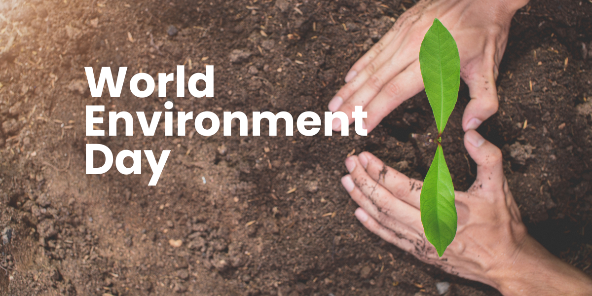 6月05日｜世界環境日 Jun 5 World Environment Day