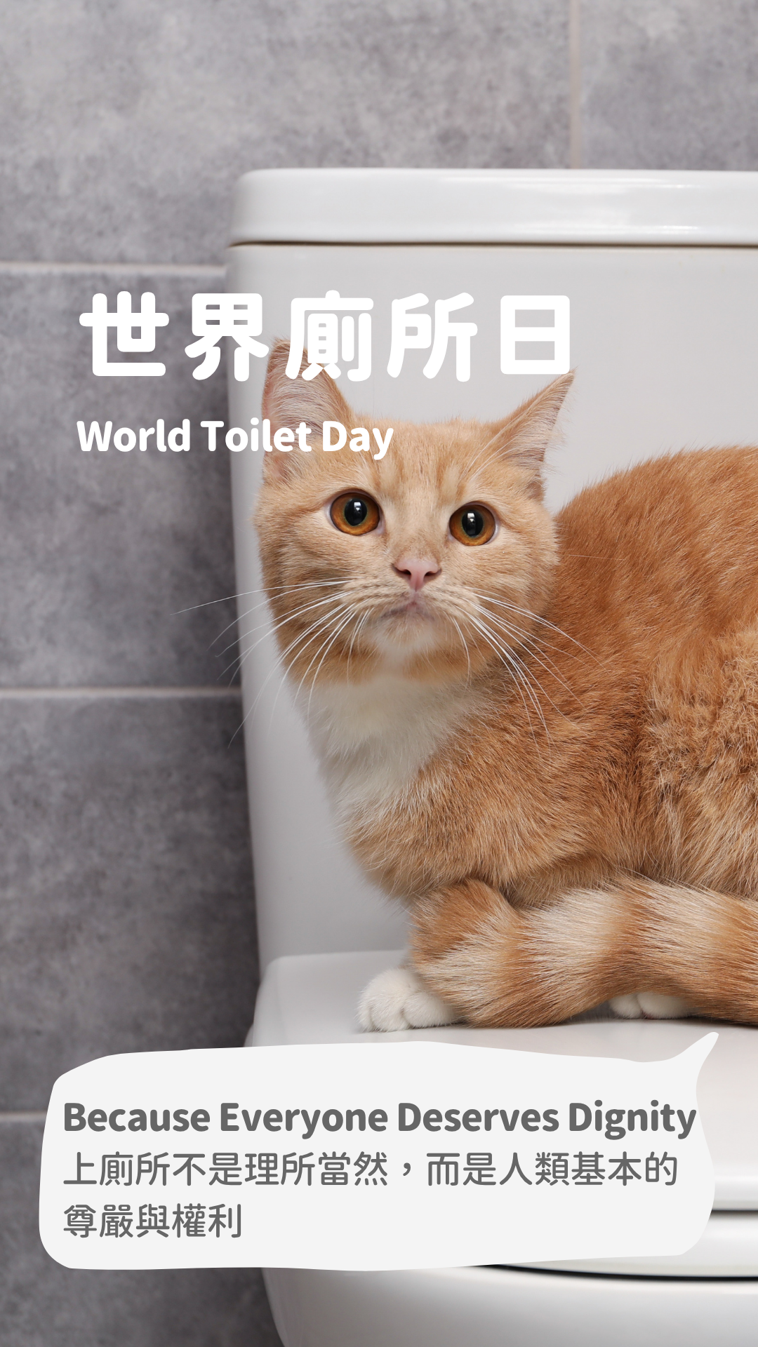 永續行事曆 限動