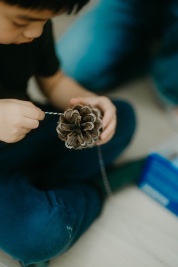 ABEDE500-99DF-4C9A-AD58-4E09D1EF065C_4_5005_c