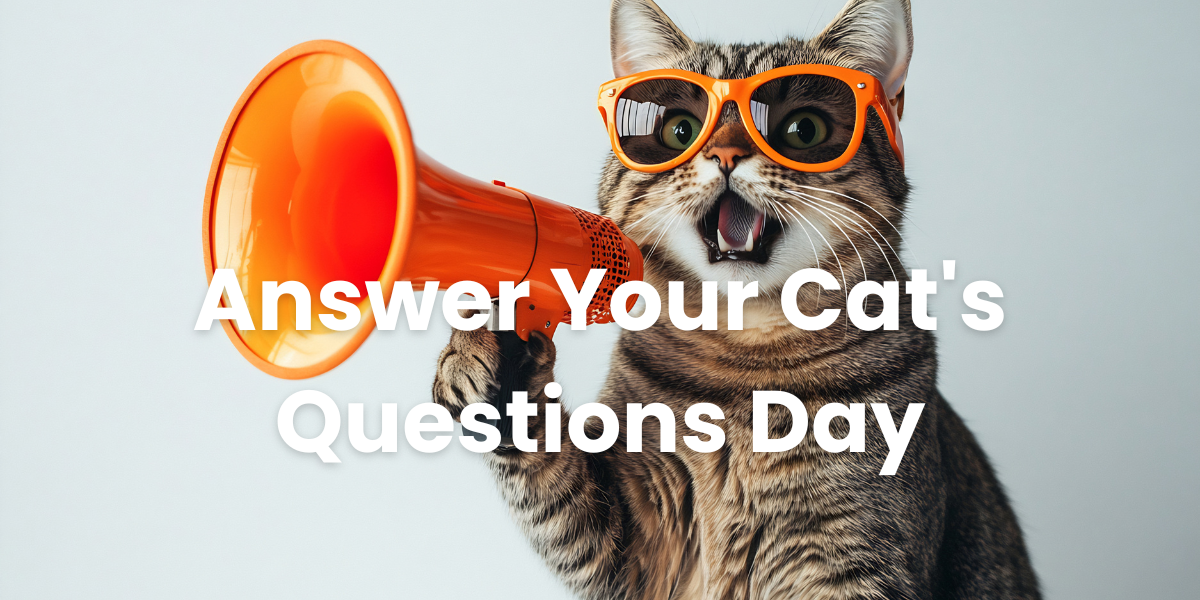 1月22日｜國際貓咪對談日 Answer Your Cat's Questions Day
