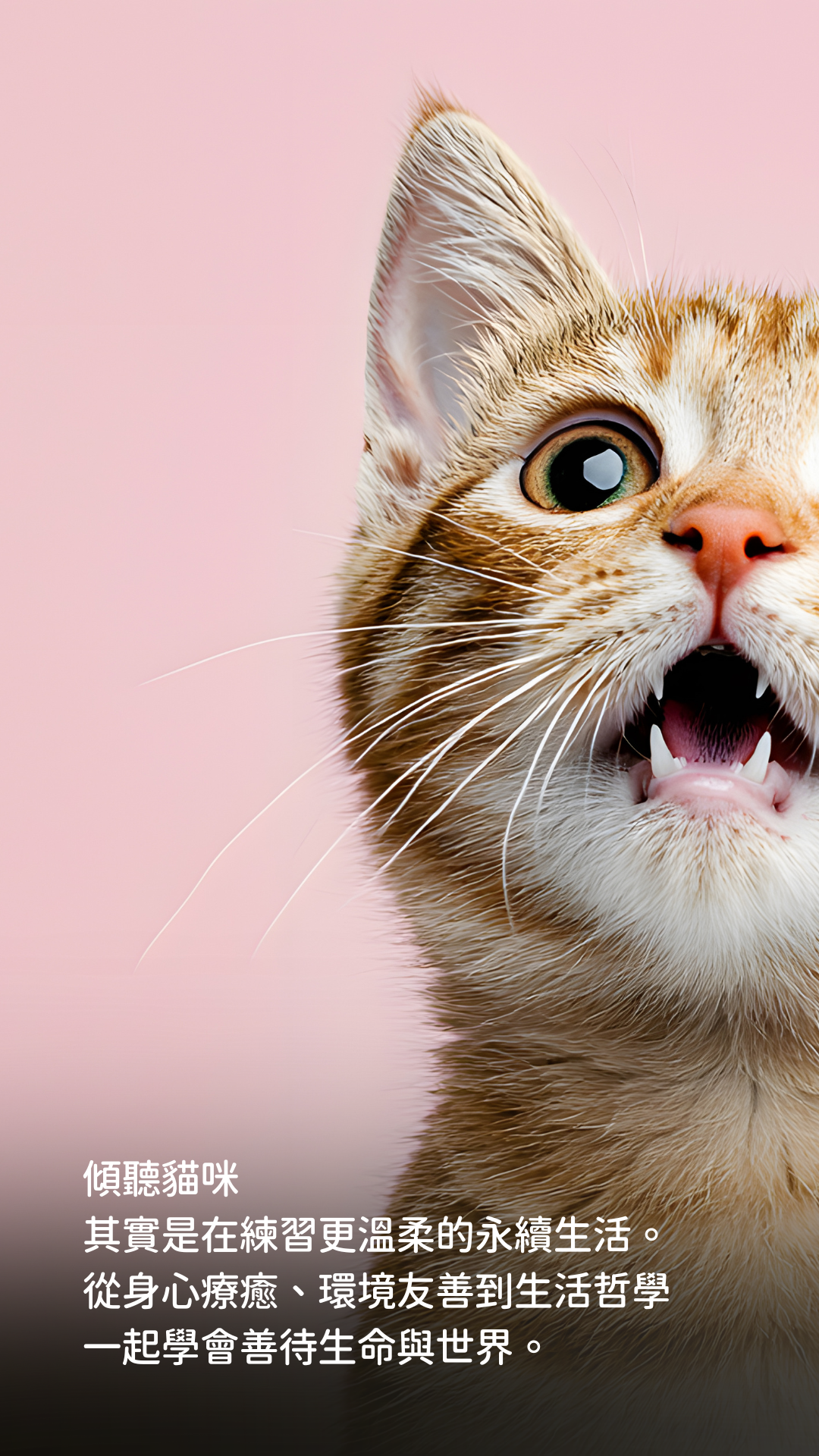 永續行事曆 限動