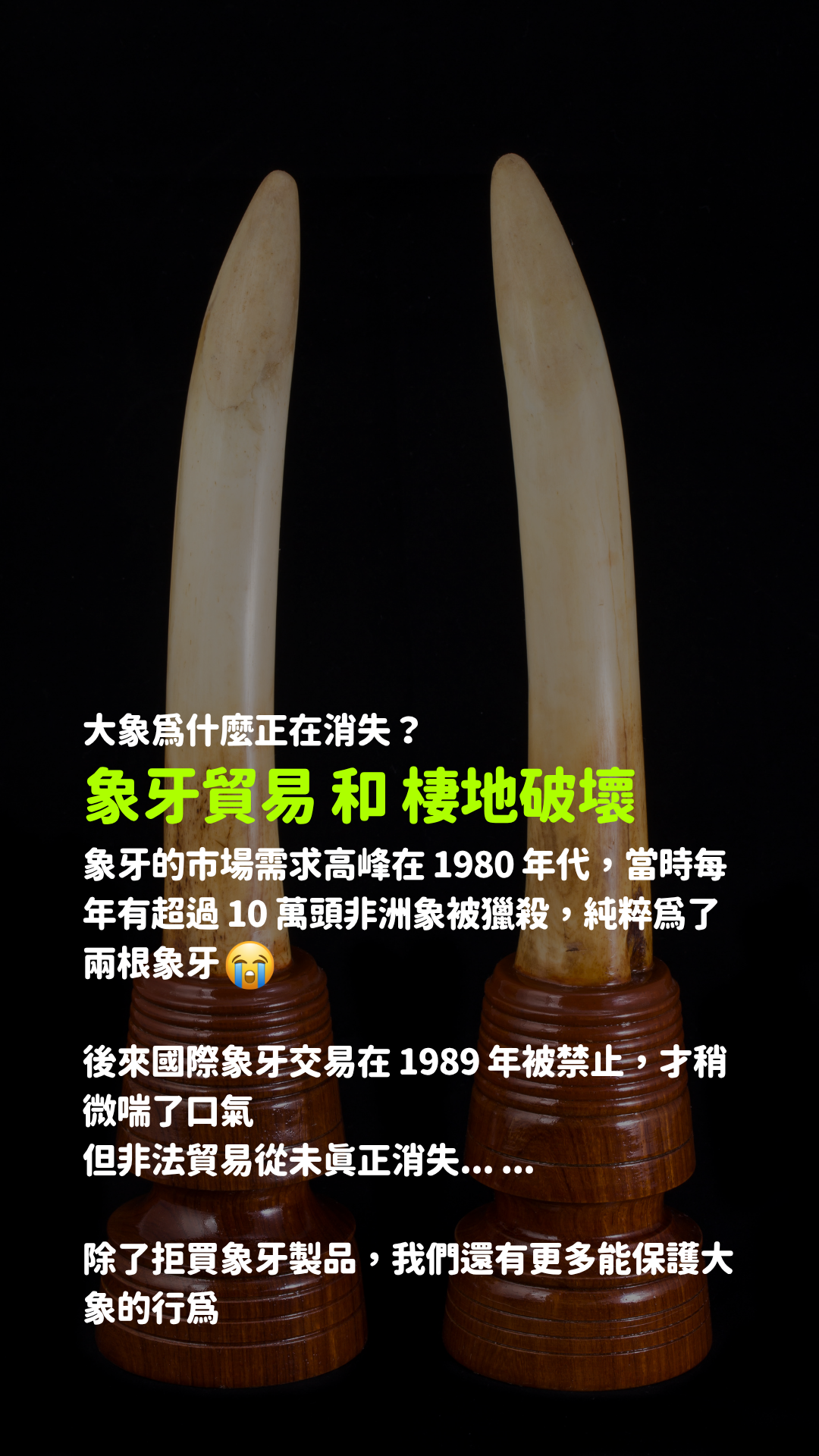 永續行事曆 限動