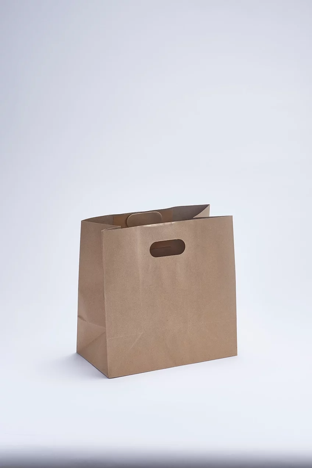 Die Cut Handle Bag.jpg