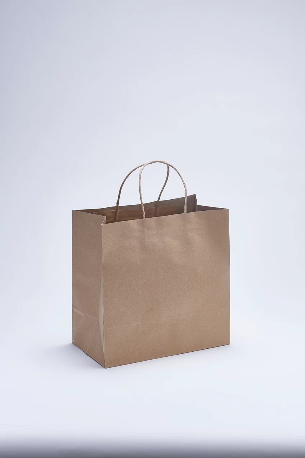 Paper Bag Twisted Handle.jpg