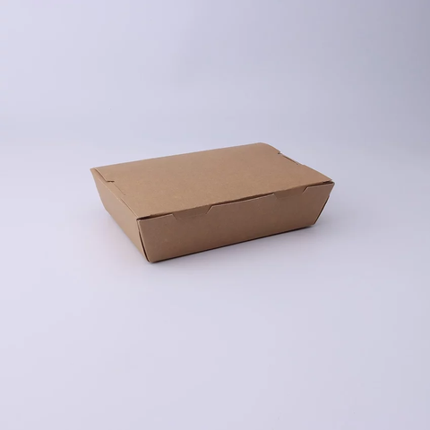 Paper Lunch Box Mnkraft.jpg