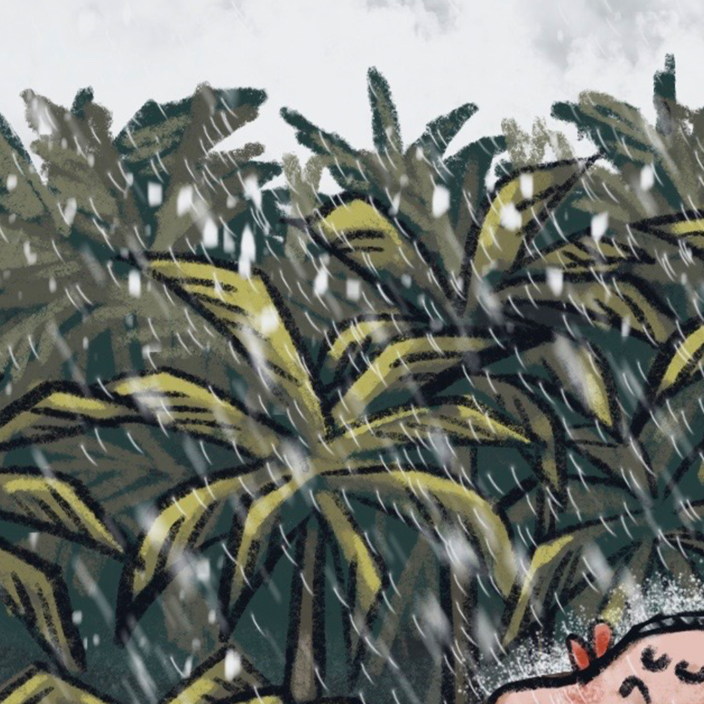 rain-02-1.png