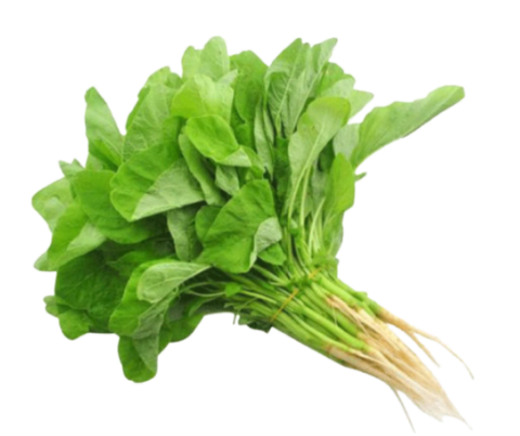 IMG_1651757430412.png