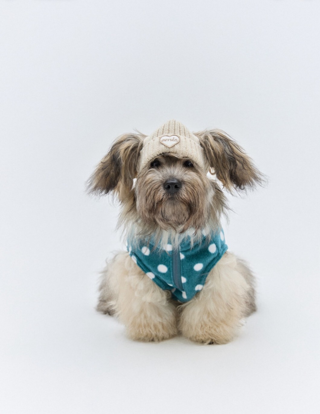 LINE_NOTE_251209_6 - 複製