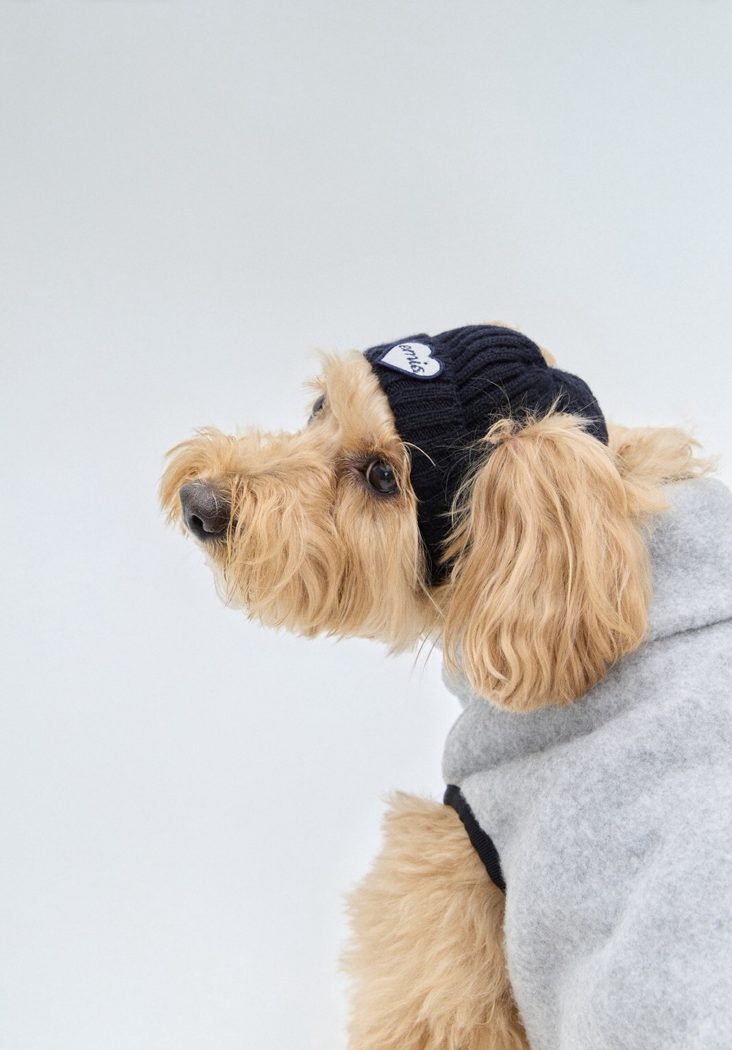 LINE_NOTE_251209_8 - 複製