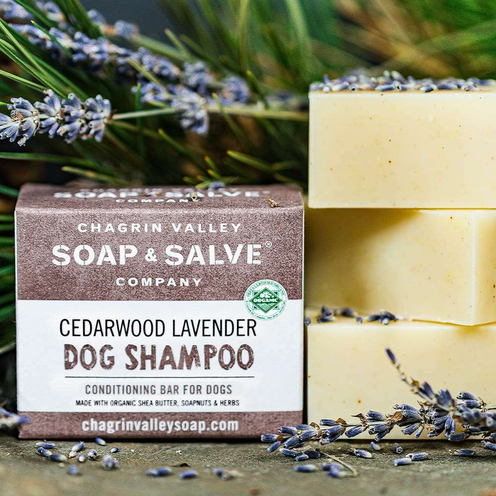 organic-dog-cedar-wood-lavendar-dog-shampoo-1