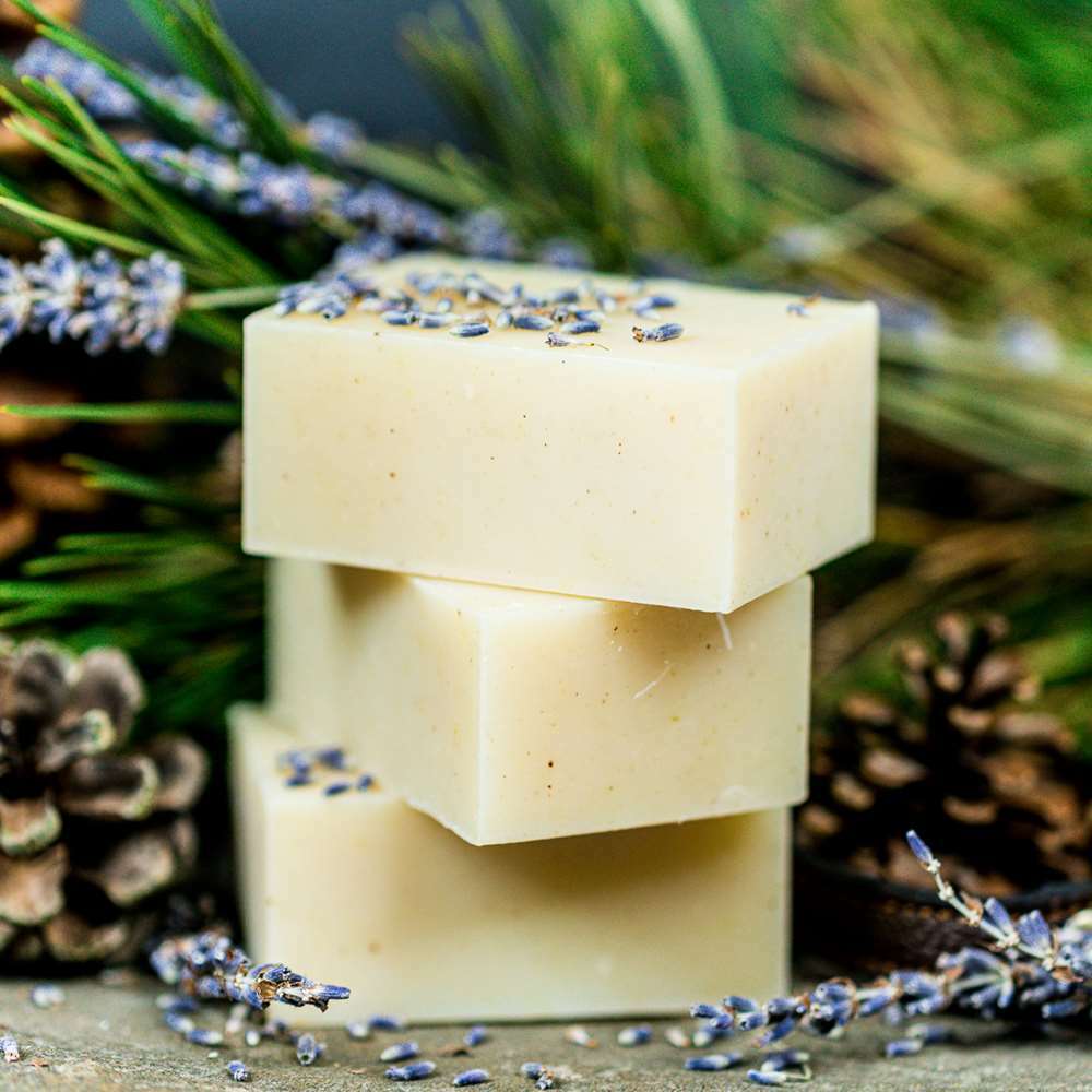 organic-dog-cedar-wood-lavendar-dog-shampoo-2