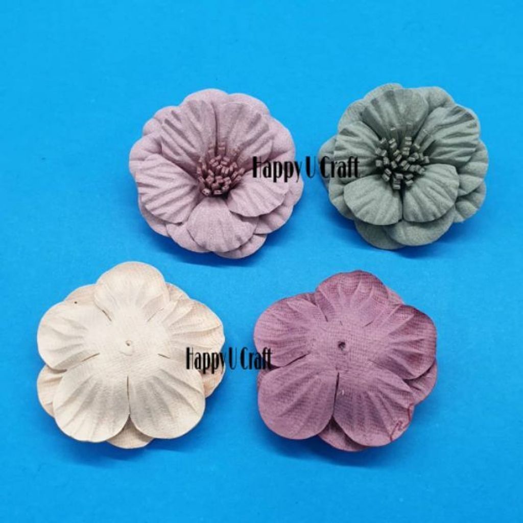 25338db63613c607c98edc53d9d6e81b