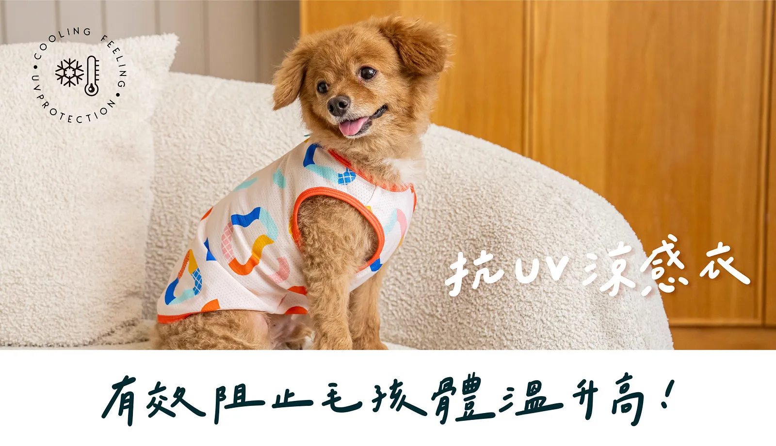 時毛涼感衣，讓毛孩夏季都涼爽！