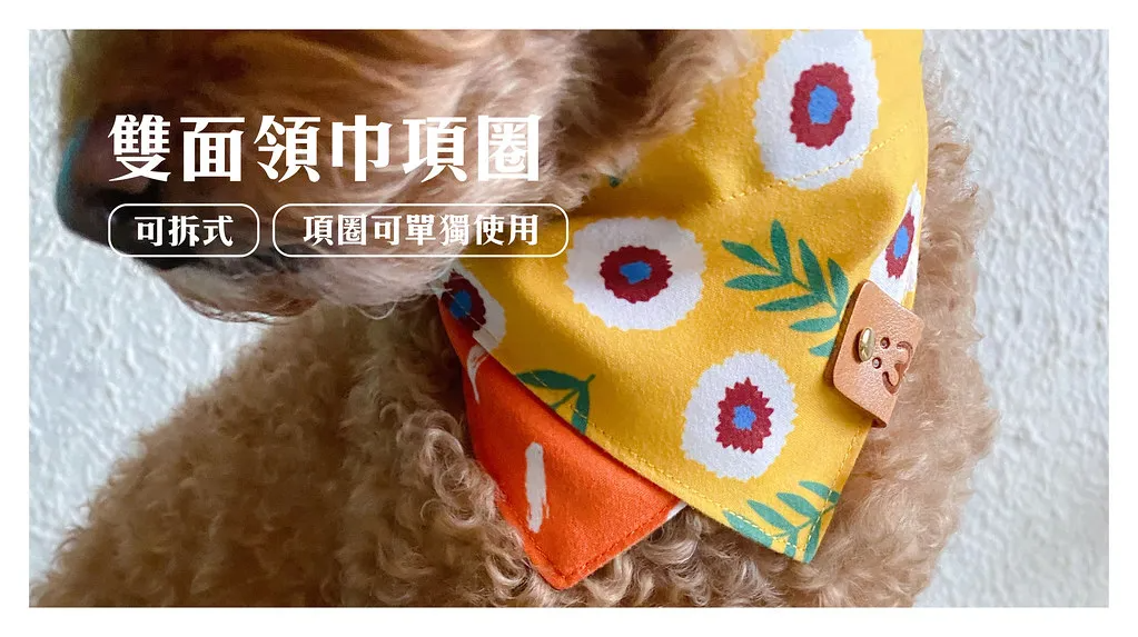 null 狗狗穿上雙面領巾,輕巧又有型