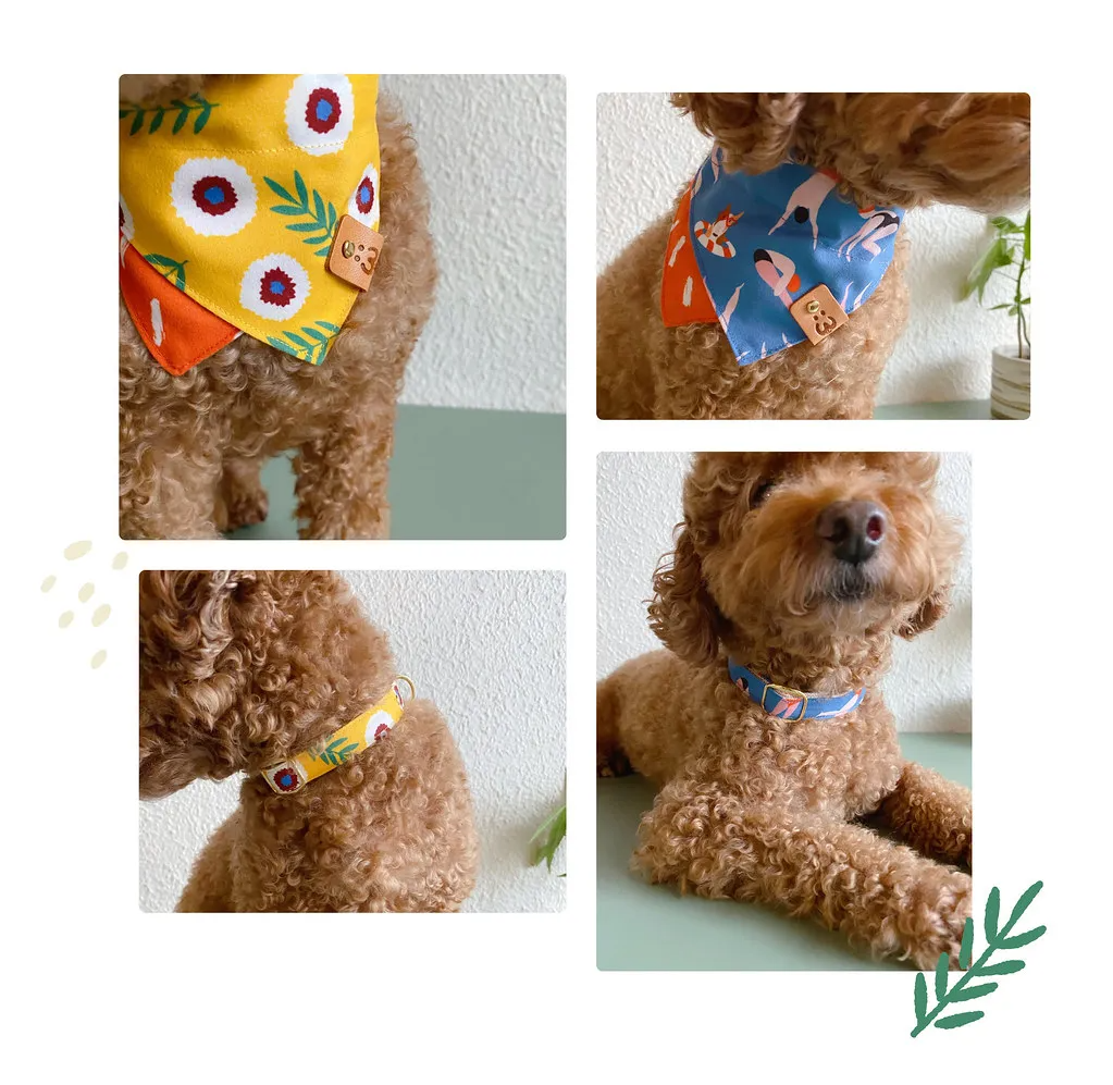 null 寵物配戴雙面領巾,日常造型小亮點