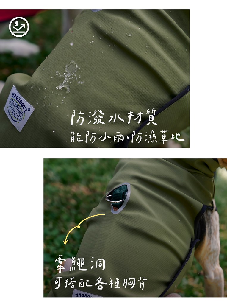 54914055575_0dd60c3524_b