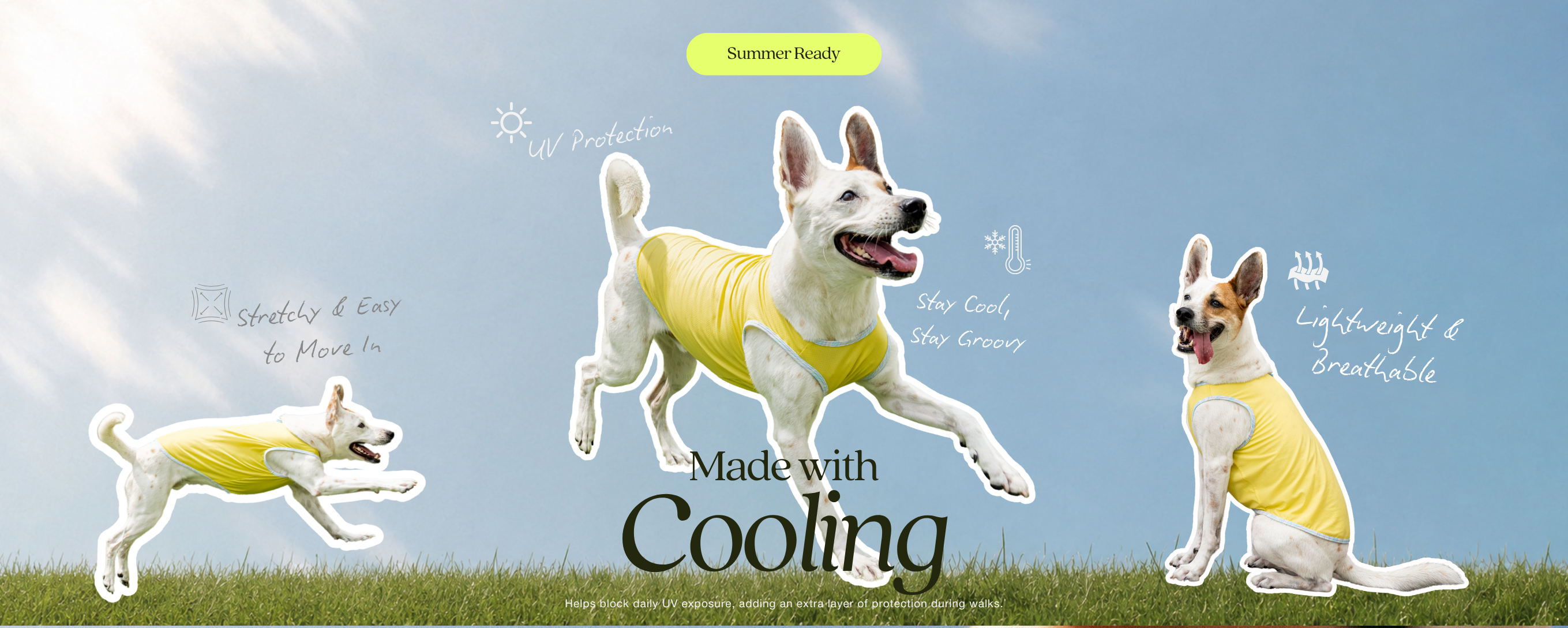 https://cdn.store-assets.com/s/927576/f/17181380.png