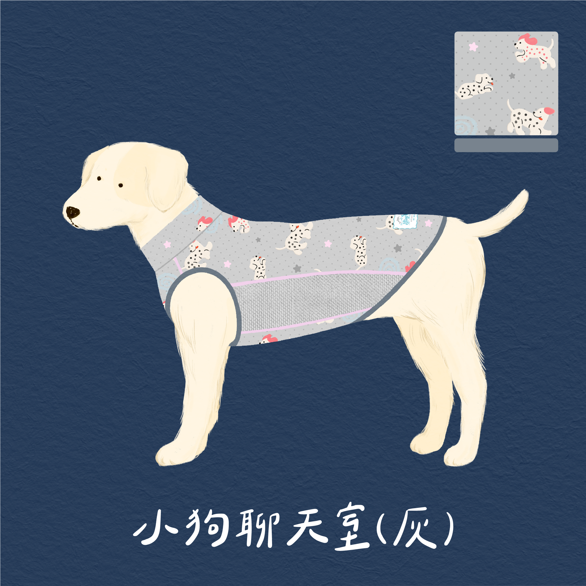 cool8示意_小狗聊天室灰01