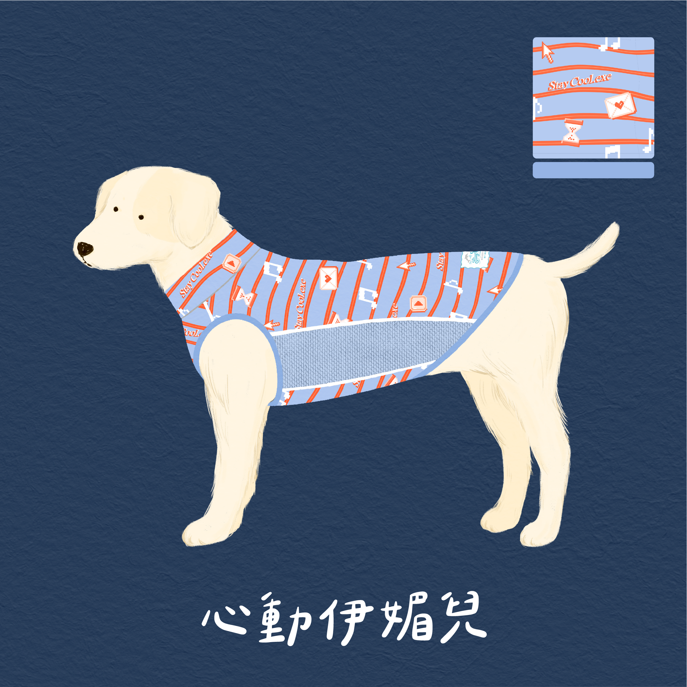 cool8示意_心動伊媚兒01