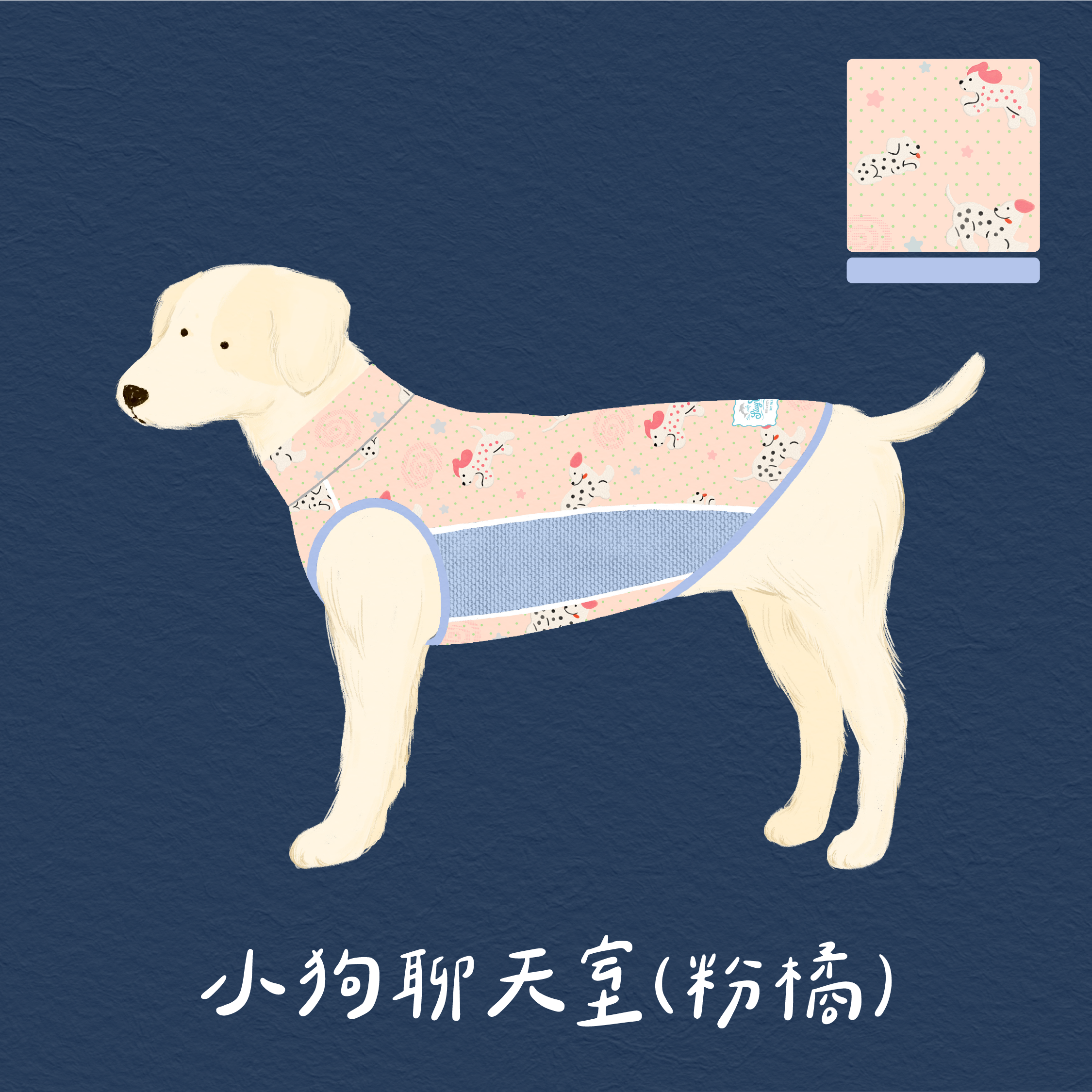cool8示意_小狗聊天室橘01