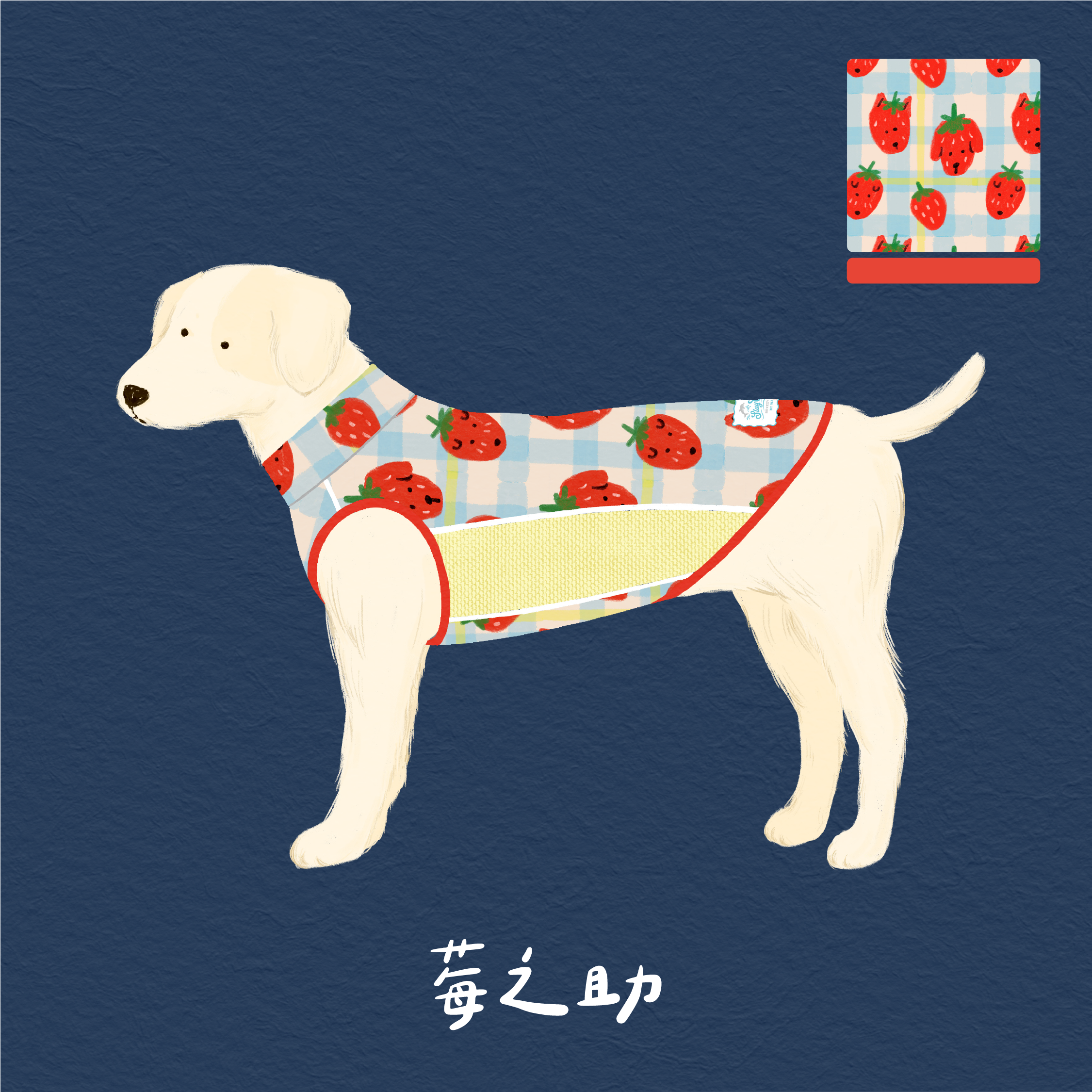cool8示意_莓之助01
