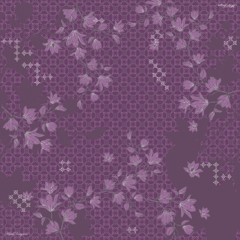 AYDS0008.png