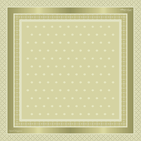AYDS0013.png