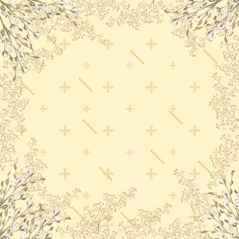 FDS0004 (1).png