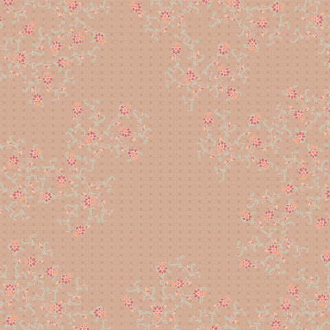 FDS0025.png