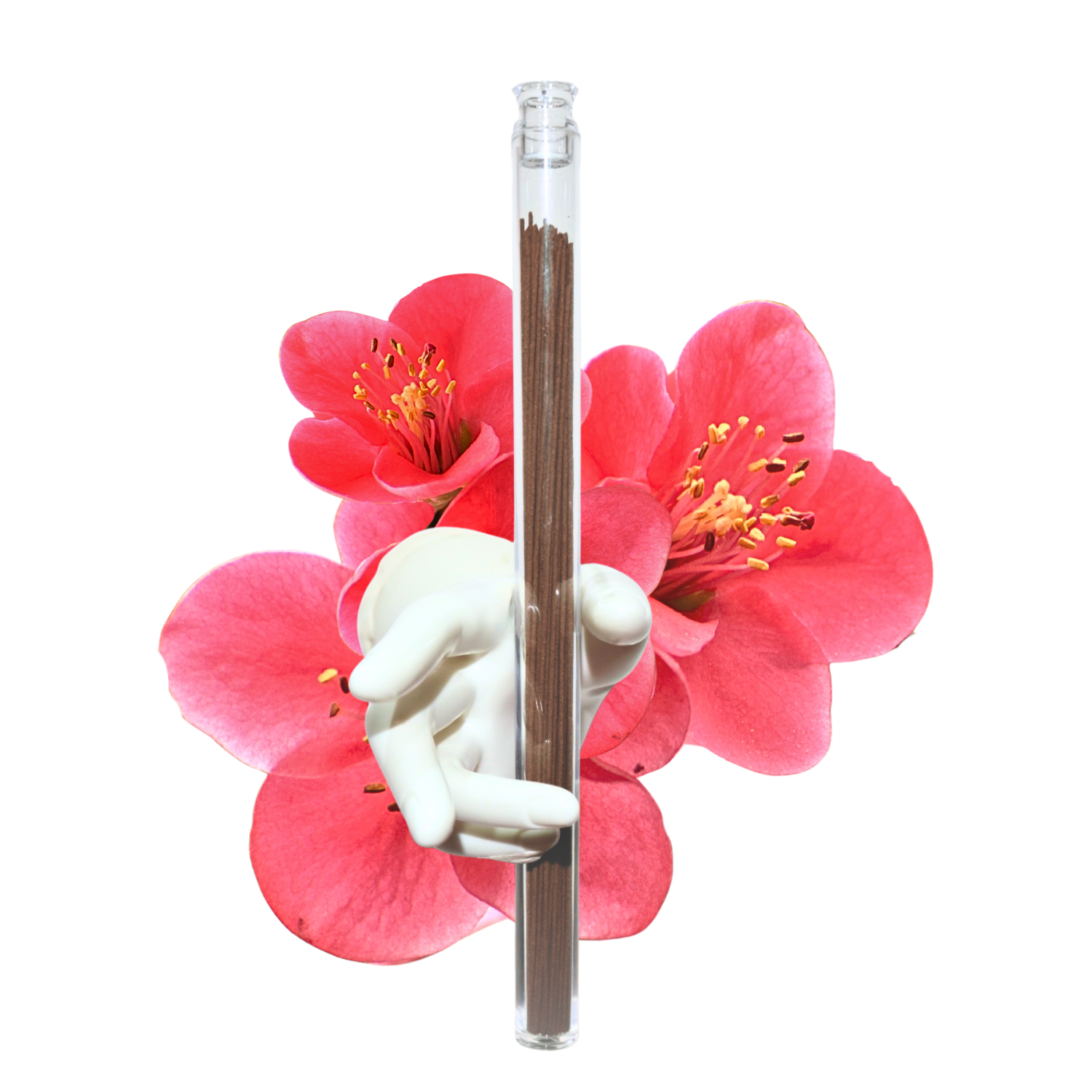 你的段落文字 (6)