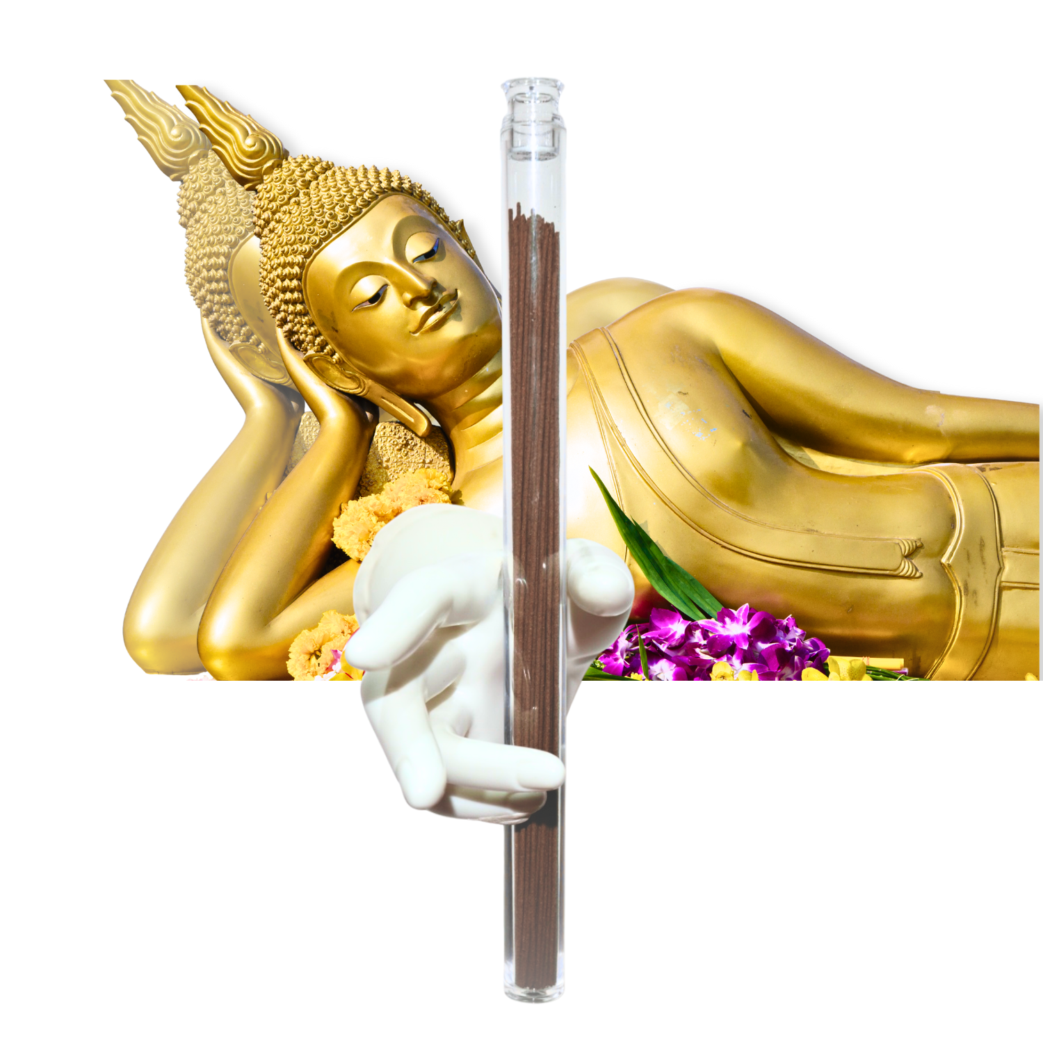 你的段落文字 (13)