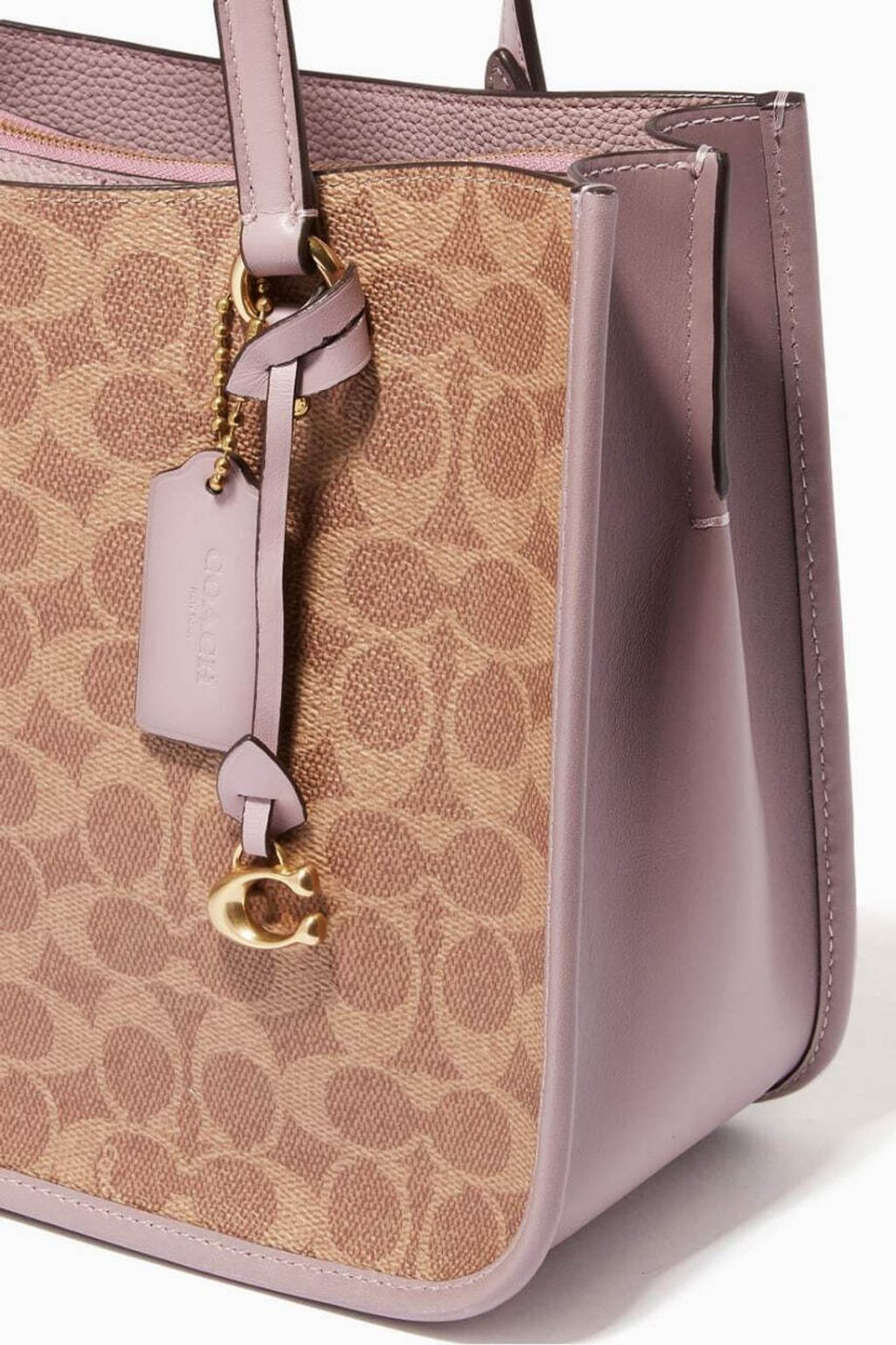 handbagbranded.com getlush outlet personalshopper usa malaysia ready stock Coach tyler  Ice Purple 5