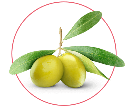 product416.png product416.png