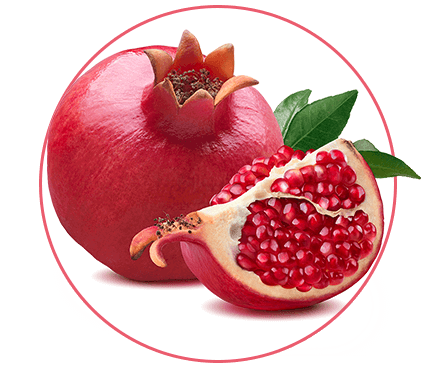 product417.png product417.png