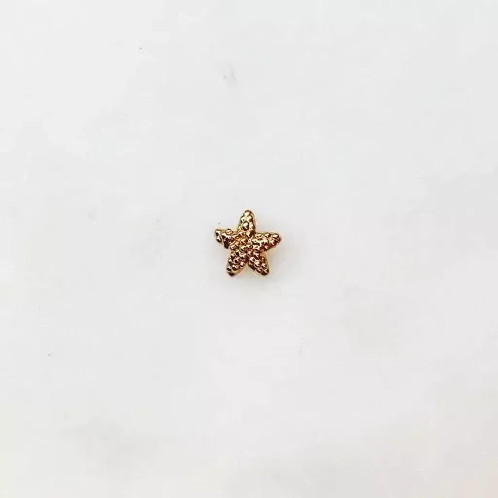 earstud-starfish-bynouck-handmade-jewelry-1_f4d18f37-92bd-4e34-a122-acdcc0aa54e8_736x
