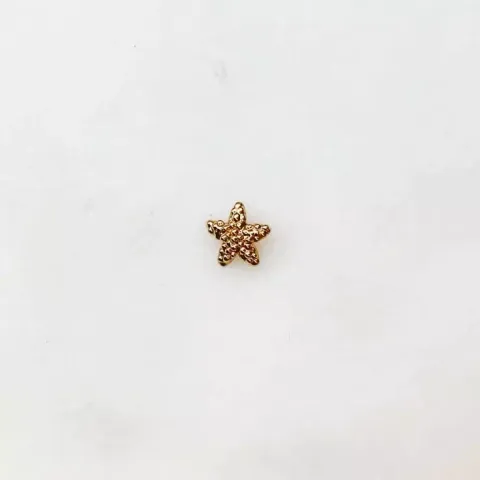 earstud-starfish-bynouck-handmade-jewelry-1_f4d18f37-92bd-4e34-a122-acdcc0aa54e8_736x