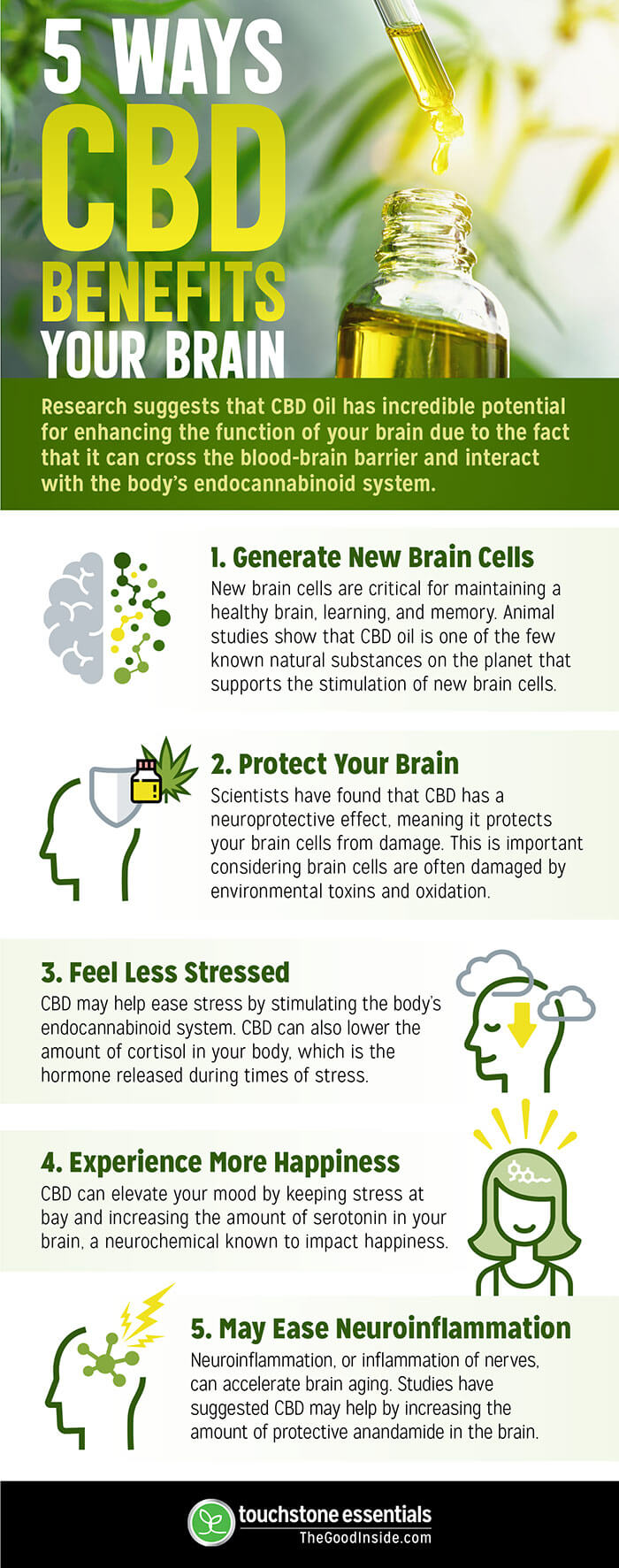 CBD-Brain-Impact-infographic.jpg