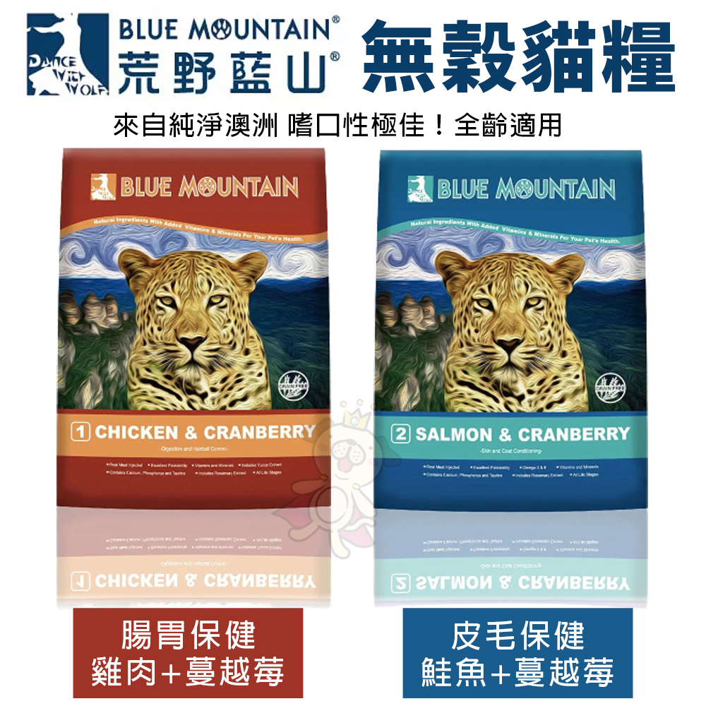 荒野藍山貓1