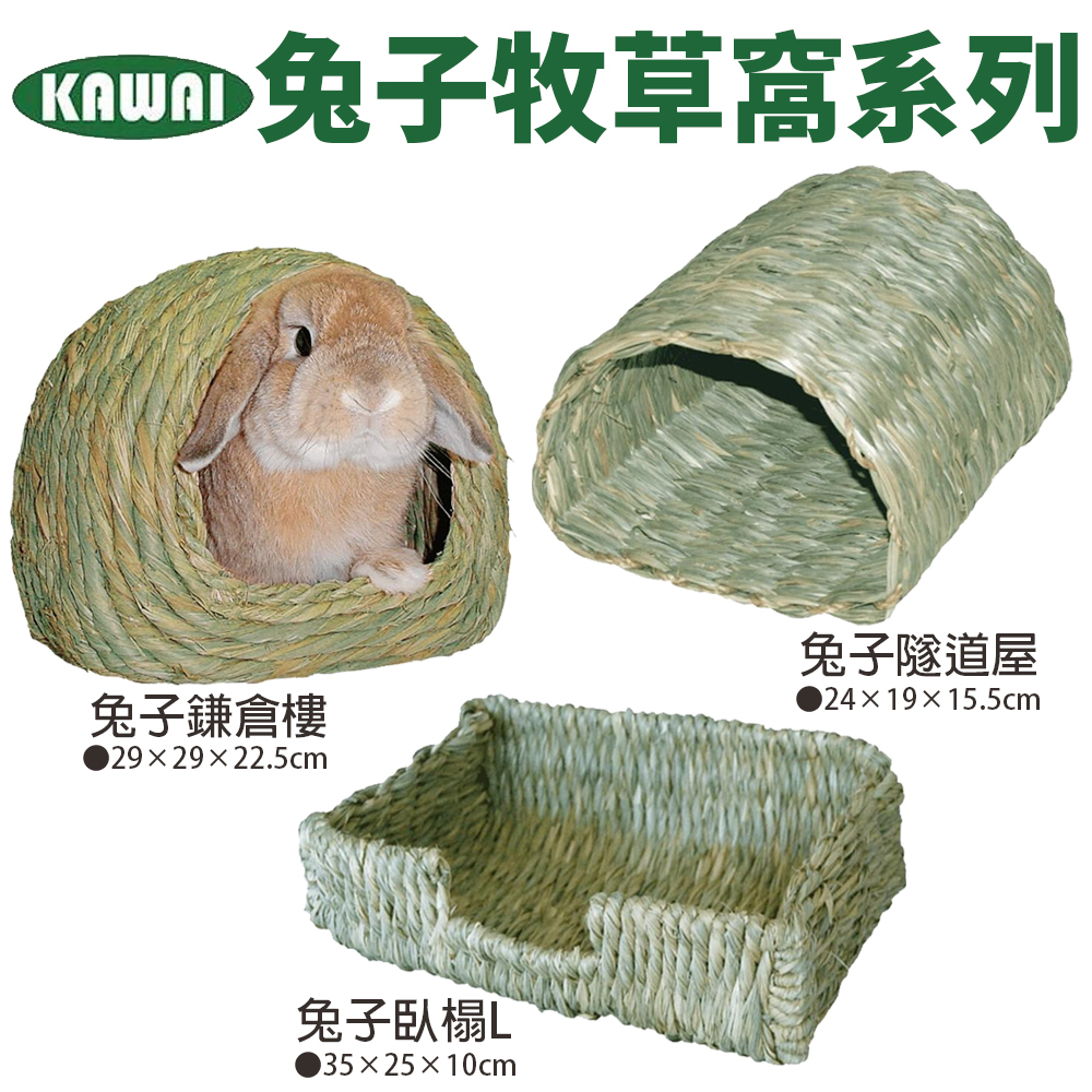 KAWAI 兔子1.jpg