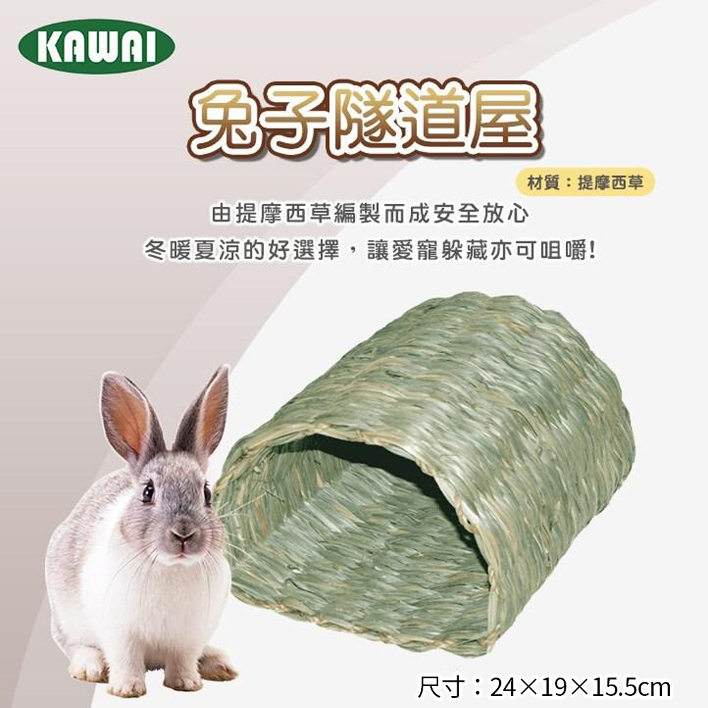 KAWAI 兔子隧道屋1.jpg