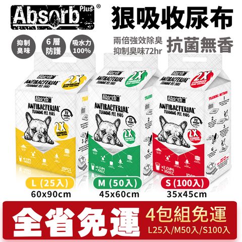 4包免運Absorb Plus 狠吸收尿布