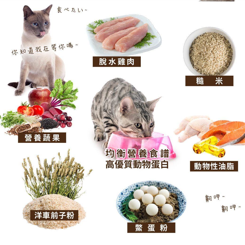 UCAT-全齡貓飼料-莓好生活_工作區域 1 複本 4