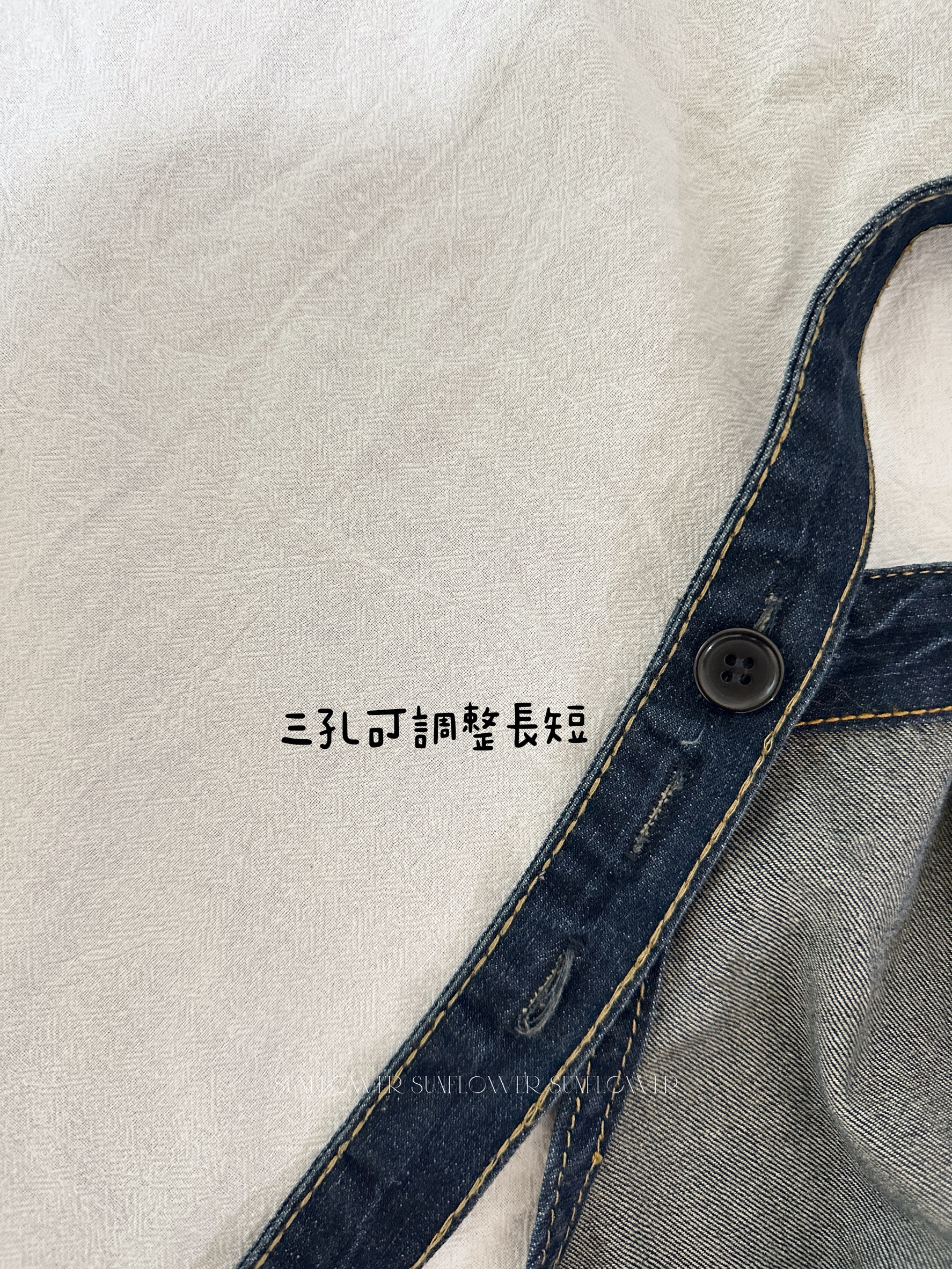 S__31252497