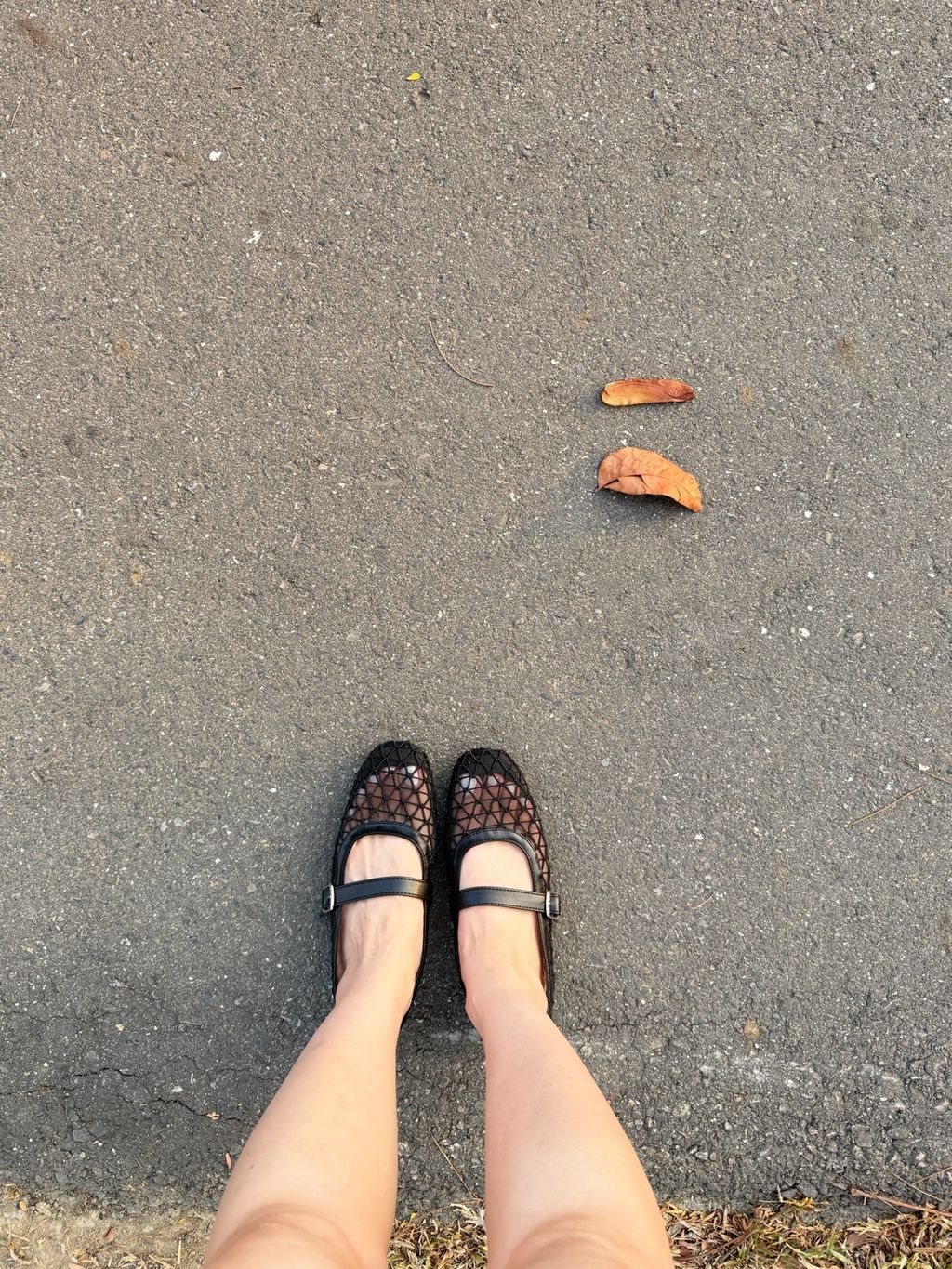 0F28C194-A5CB-403A-B87F-5E8A9DF76F3E